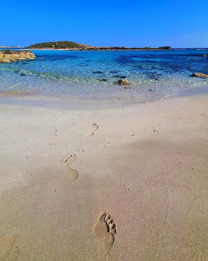 Nissi Golden Sands Holiday Apartment Free Wifi Ajia Napa Cypr