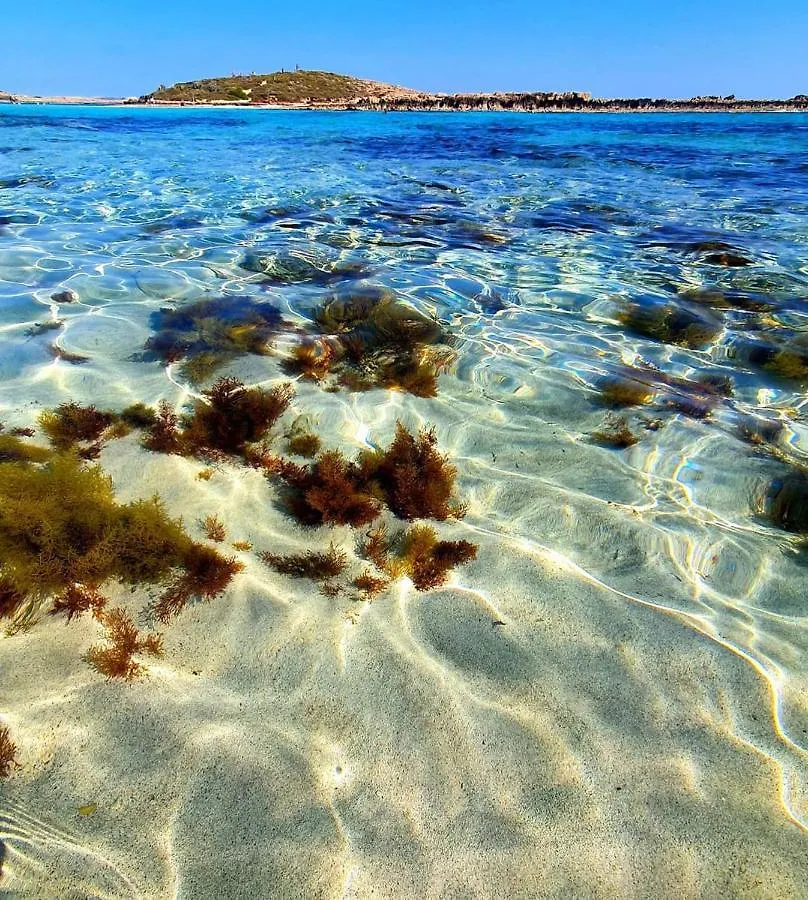 Nissi Golden Sands Holiday Apartment Free Wifi Ayia Napa